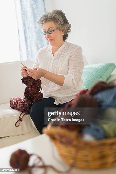 mature woman knitting, jersey city, new jersey, usa - knitting stock pictures, royalty-free photos & images