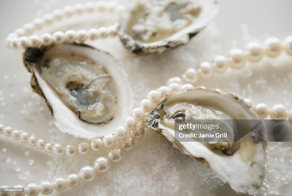 Studio shot of oysters and jewelry