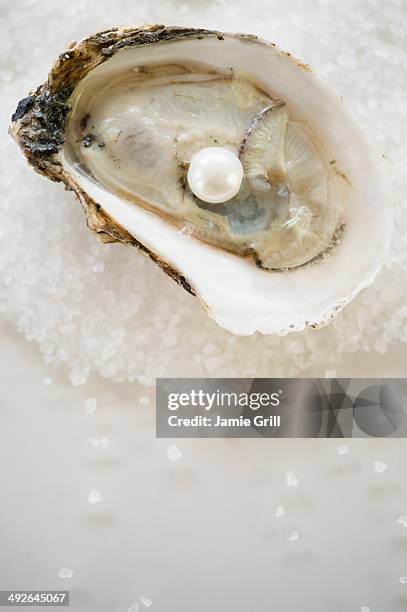 studio shot of oysters and pearl - oyster pearl - fotografias e filmes do acervo