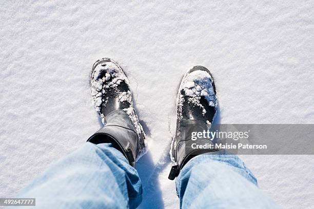 close-up of human legs in snow, colorado, usa - punto de vista de una cámara fotografías e imágenes de stock