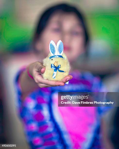 the easter offering (bunny or chick?) - mclean stock pictures, royalty-free photos & images