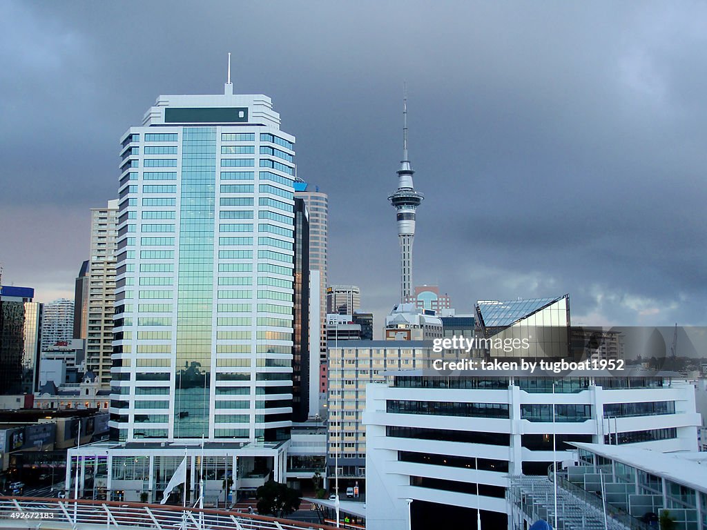 Auckland city view from cruise ship