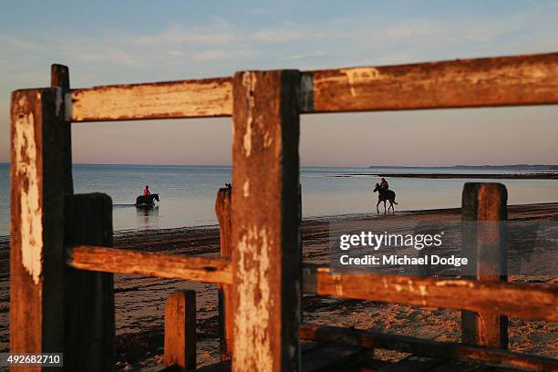 View is seen through a rotted jetty as Kerry Edwards takes Cyperconi through the water at Balnarring Beach on October 15, 2015 in Melbourne,...