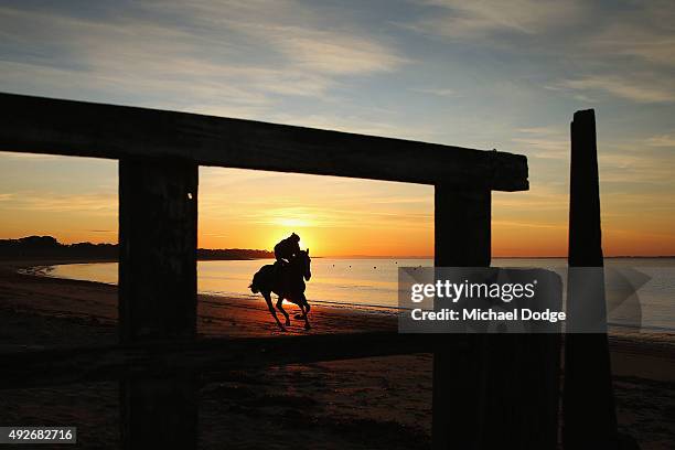 View is seen through a rotted jetty as a horse gallops on the sand at Balnarring Beach on October 15, 2015 in Melbourne, Australia. Balnarring Beach...