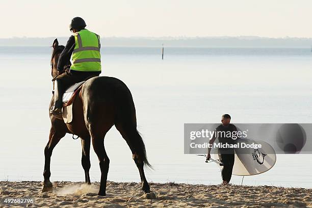 Paddleboader walks out near a horse at Balnarring Beach on October 15, 2015 in Melbourne, Australia. Balnarring Beach is a remote beach on the...