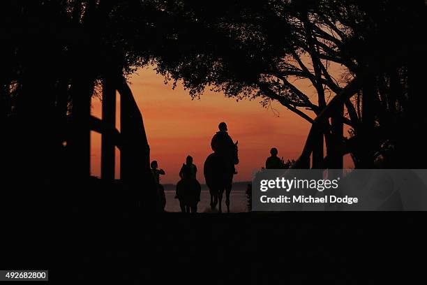 Horses walk out to the beach at Balnarring Beach on October 15, 2015 in Melbourne, Australia. Balnarring Beach is a remote beach on the Mornington...