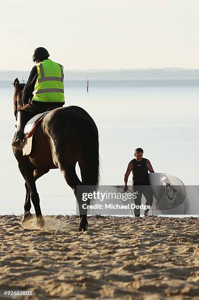 Paddleboader walks out near a horse at Balnarring Beach on October 15, 2015 in Melbourne, Australia. Balnarring Beach is a remote beach on the...