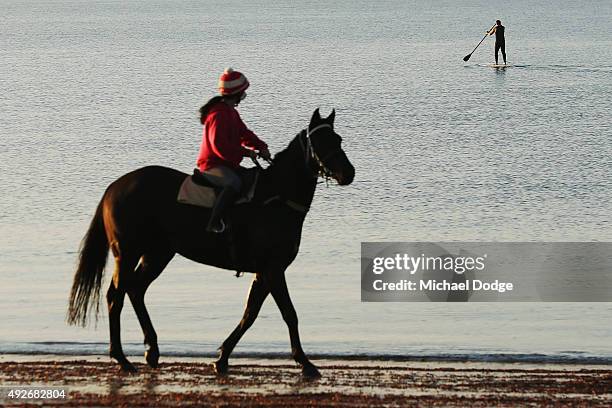 Paddleboader heads out on the water as a horse walks by at Balnarring Beach on October 15, 2015 in Melbourne, Australia. Balnarring Beach is a remote...