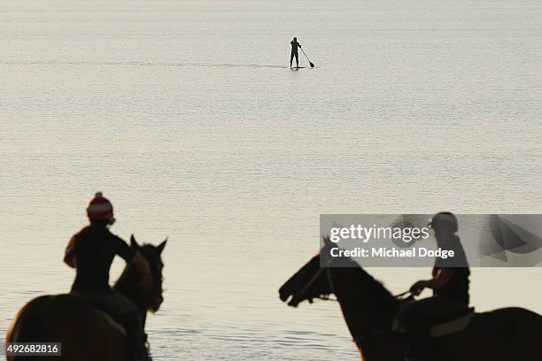 Horses walk out to the beach at as a paddleboarder goes by Balnarring Beach on October 15, 2015 in Melbourne, Australia. Balnarring Beach is a remote...