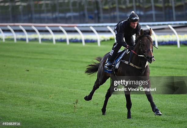 Glen Boss riding Kermadec during a trackwork session at Moonee Valley Racecourse on October 15, 2015 in Melbourne, Australia.