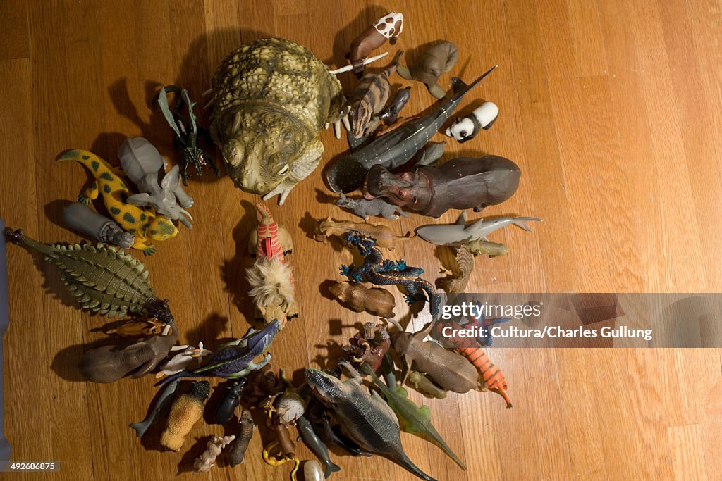 Toy animals on floor