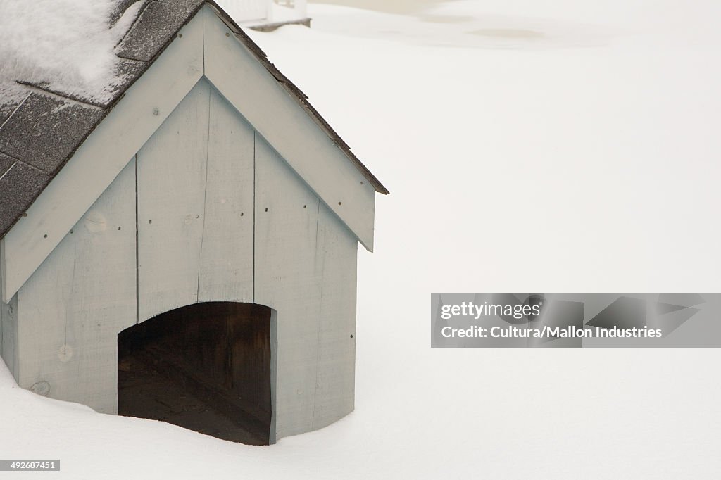 Dog kennel in snow