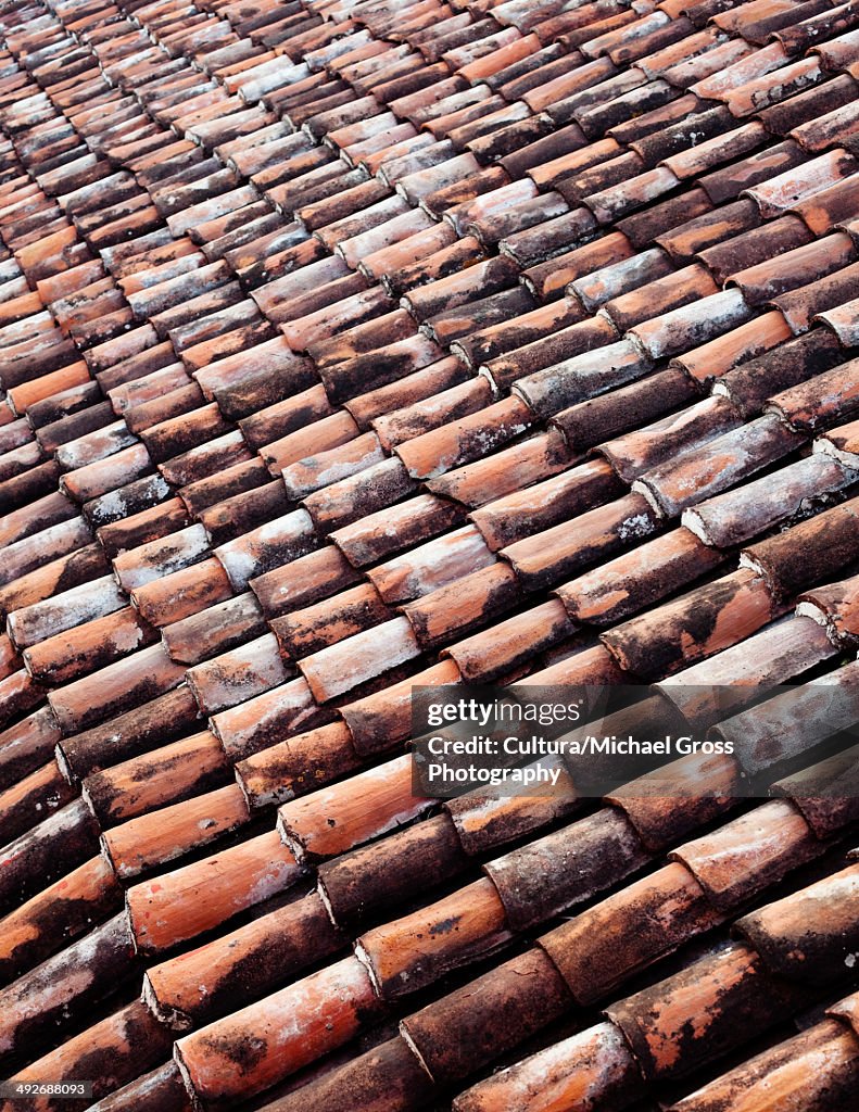 Clay roof tiles, full frame