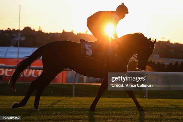 Vlad Duric riding Pornichet during a trackwork session at Moonee Valley Racecourse on October 15, 2015 in Melbourne, Australia.