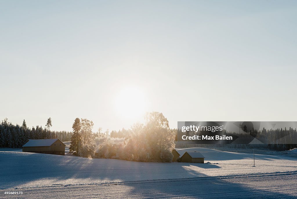 Sun rising over cabins