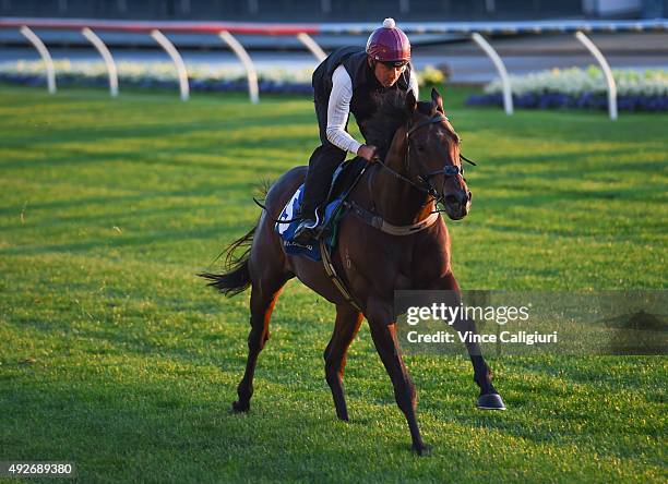 Vlad Duric riding Pornichet during a trackwork session at Moonee Valley Racecourse on October 15, 2015 in Melbourne, Australia.