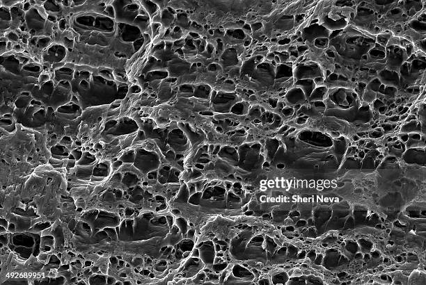 222 Metal Micrograph Stock Photos, High-Res Pictures, and Images ...