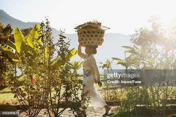 woman carrying basket on her head, bedugul, bali, indonesia - bali women tradition head stock pictures, royalty-free photos & images