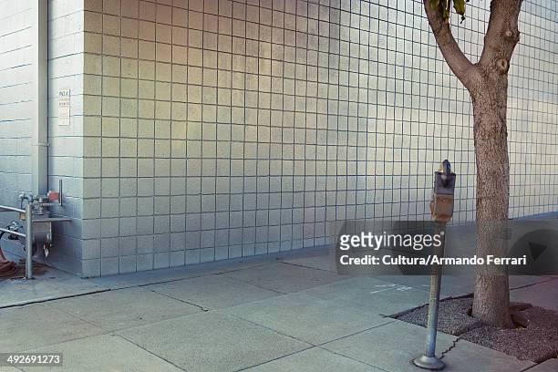 pavement with tree and exterior wall - パーキングメーター ストックフォトと画像