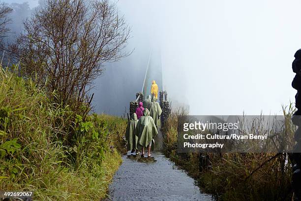 group of tourists on footbridge, victoria falls, zambia, africa - victoria falls stock pictures, royalty-free photos & images