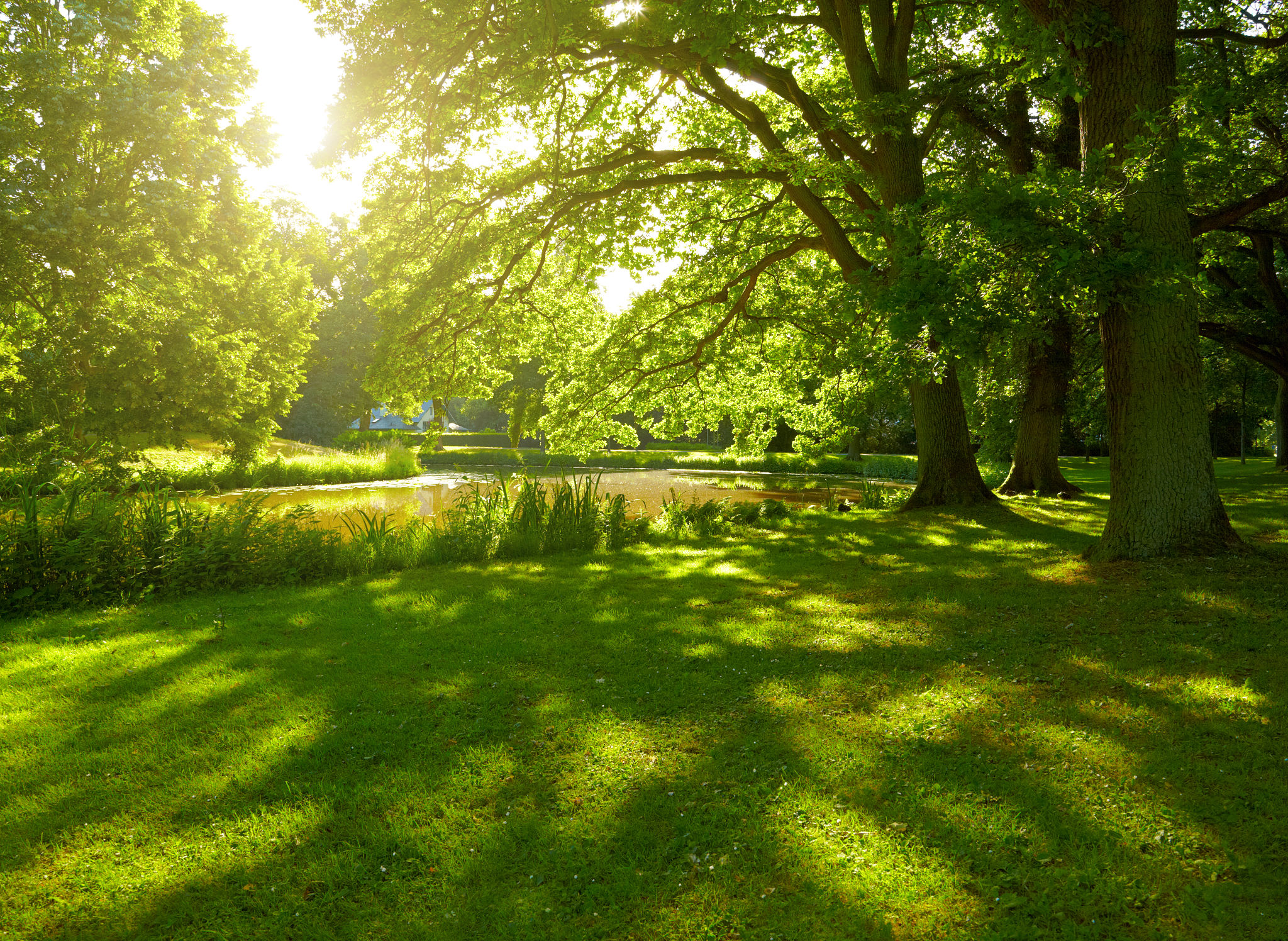 river park