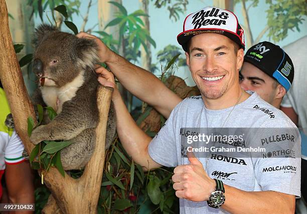 Nicky Hayden of USA and Drive M7 Aspar poses with a koala bear ahead of the 2015 MotoGP of Australia at Phillip Island Grand Prix Circuit on October...