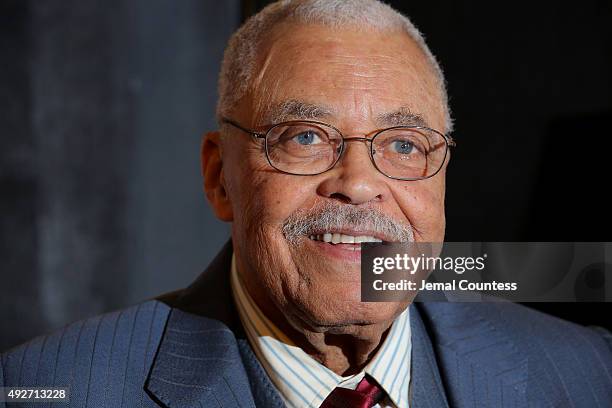 Actor James Earl Jones attends the "The Gin Game" Broadway opening night after party at Sardi's on October 14, 2015 in New York City.