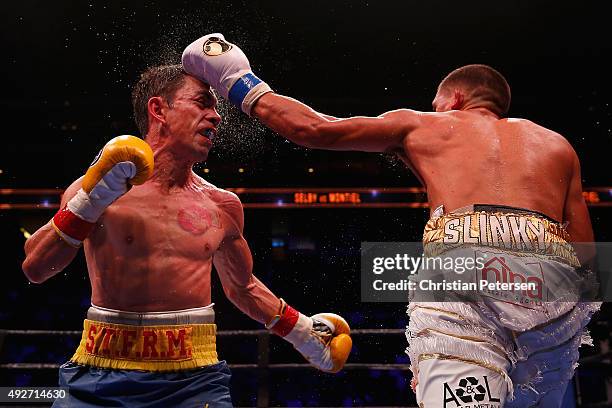 Lee Selby lands a left on Fernando Montiel during the IBF featherweight championship title bout at Gila River Arena on October 14, 2015 in Glendale,...