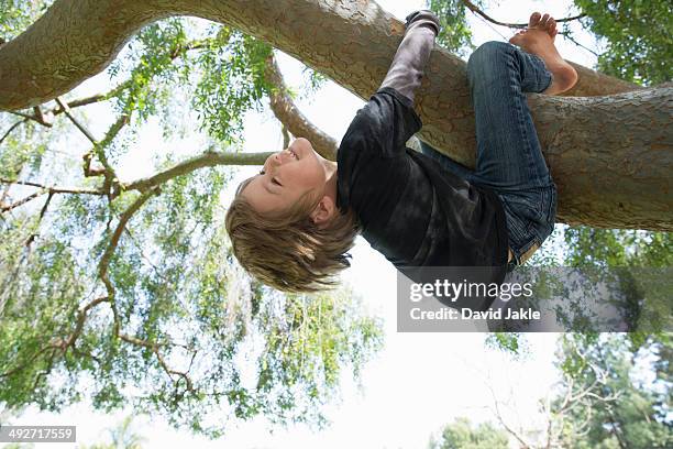 upside down boy wrapped around tree branch - kids climbing stock pictures, royalty-free photos & images