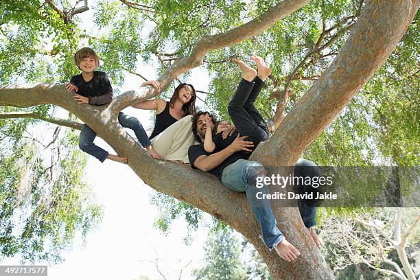 portrait of family with two boys climbing on park tree - tag 7 bildbanksfoton och bilder