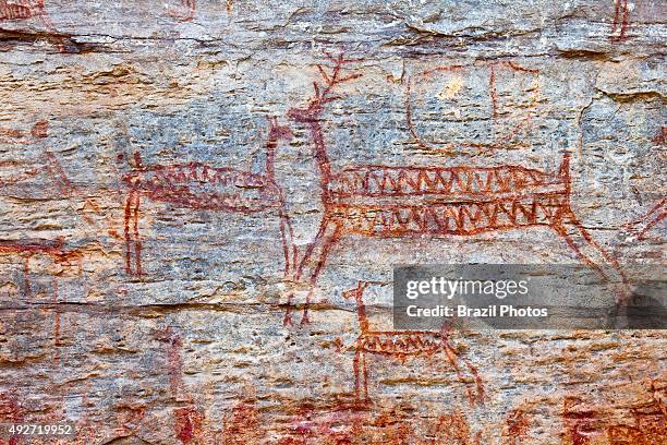 Archaeology, clusters of rock art at the Toca Pinga do Boi site. Parque Nacional da Serra da Capivara , Piaui State, Northeastern Brazil.