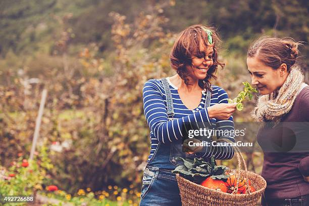 dos mujeres disfrutando en un jardín - fall harvest fotografías e imágenes de stock