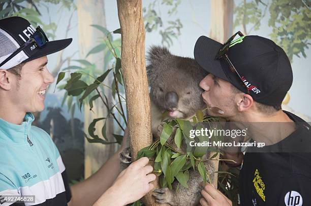 Alex Rins of Spain and Pagina Amarillas HP40 and Danny Kent of Britain and Leopard Racing joke with koala during a pre-event at the Maru Koala Park...