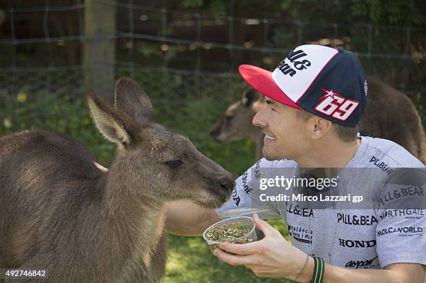 Nicky Hayden of USA and Aspar Team MotoGP jokes with Kangaroos during a pre-event at the Maru Koala Park ahead of the 2015 MotoGP of Australia at...