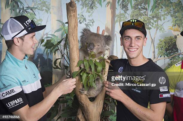 Alex Rins of Spain and Pagina Amarillas HP40 and Danny Kent of Britain and Leopard Racing joke with koala during a pre-event at the Maru Koala Park...