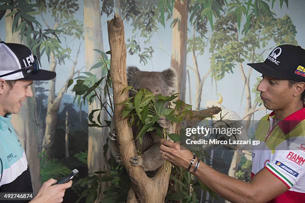 Yonny Hernandez of Colombia and Energy T.I. Pramac Racing and Danny Kent of Britain and Leopard Racing joke with koala during a pre-event at the Maru...