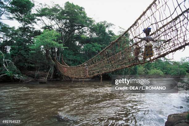 Vine Rope Bridge Jungle Rope Bridge Photos and Premium High Res Pictures - Getty Images