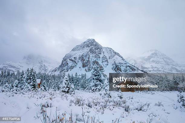 brouillard, cabine et de la neige dans le parc provincial du mont assiniboine, au canada. - mont assiniboine photos et images de collection