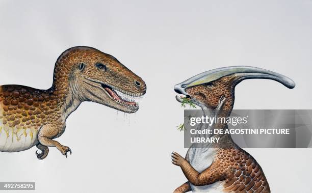 Albertosaurus sarcophagus, Tyrannosauridae, and Parasaurolophus sp, Hadrosauridae, Cretaceous. Illustration.