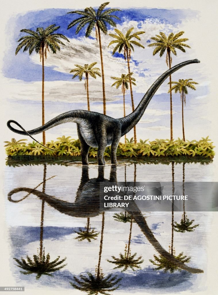 Alamosaurus sanjuanensis...