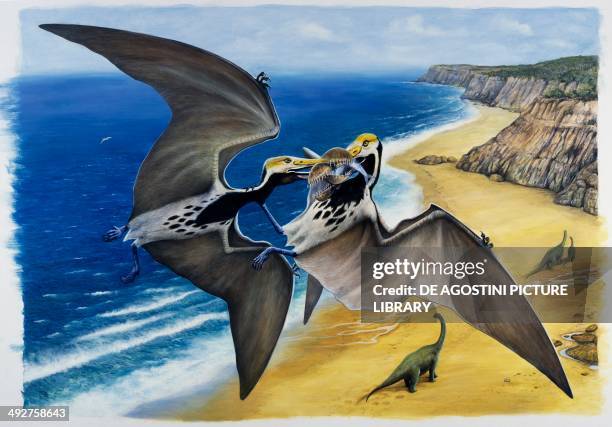 Two Tropeognathus sp with a prey, Tropeognathidae, Cretaceous. Artwork by Peter David Scott.