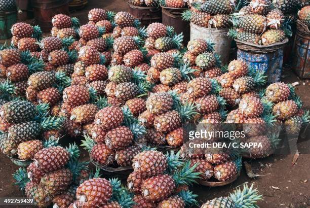 Pineapple on display at the fruit market, near Douala, Cameroon.
