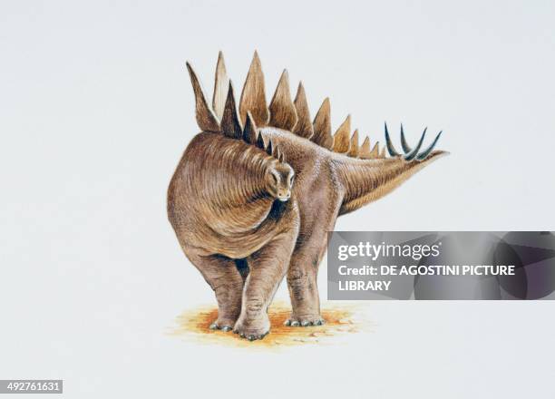 Stegosaurus with one row of slightly overlapping plates. Artwork by Nick Pike.