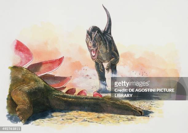 Allosaurus fragilis, Allosauridae, comes across the body of a big Stegosaurus sp, Stegosauridae, in a dried-up lagoon, Late Jurassic. Artwork by...