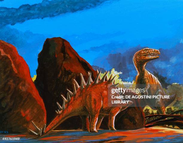 Stegosaurus longispinus, Stegosauridae, and T rex , Tyrannosauridae, Late Cretaceous. Artwork by J Dang.