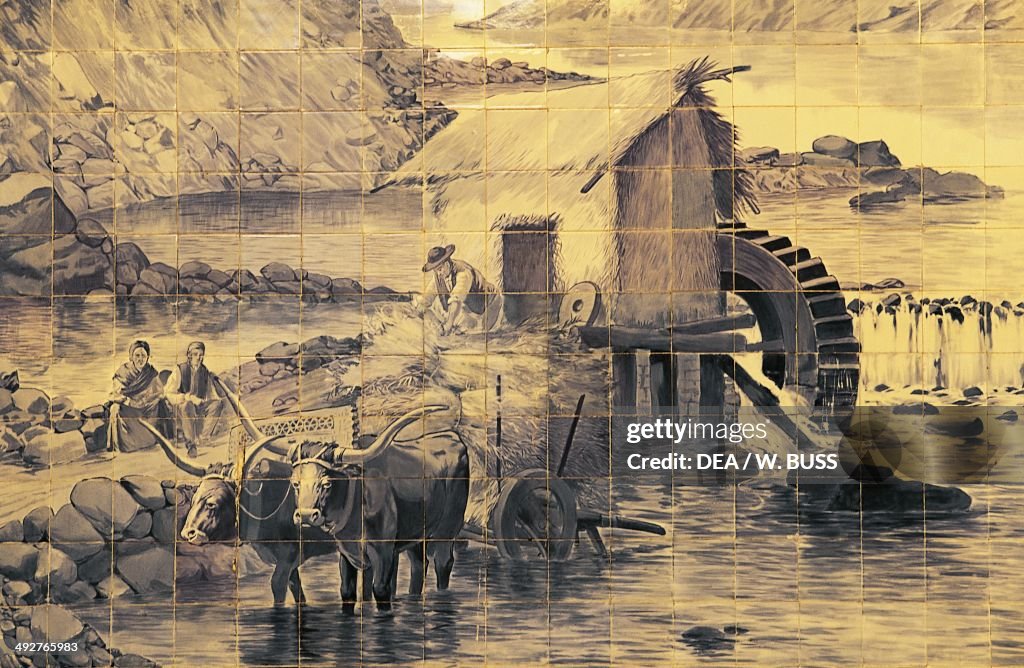 Oxen pulling a wagon with a mill in the background