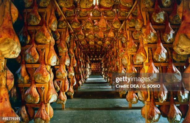 Aging of San Daniele prosciutto, Friuli Venezia Giulia, Italy.