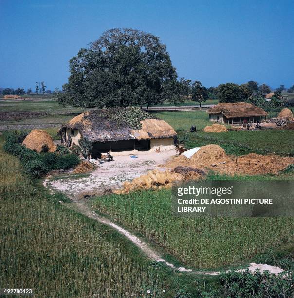Typical home in the Terai area near Lumbini, Nepal.
