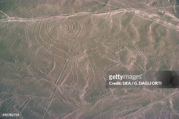 The monkey, geoglyph, Nazca Lines , Nazca, Peru.
