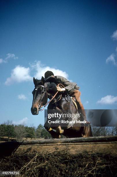 Prix des Nations: Walter Staley Jr. In action aboard Mud Dauber leaping over obstacle during practice session before competition at the Cotton Patch...